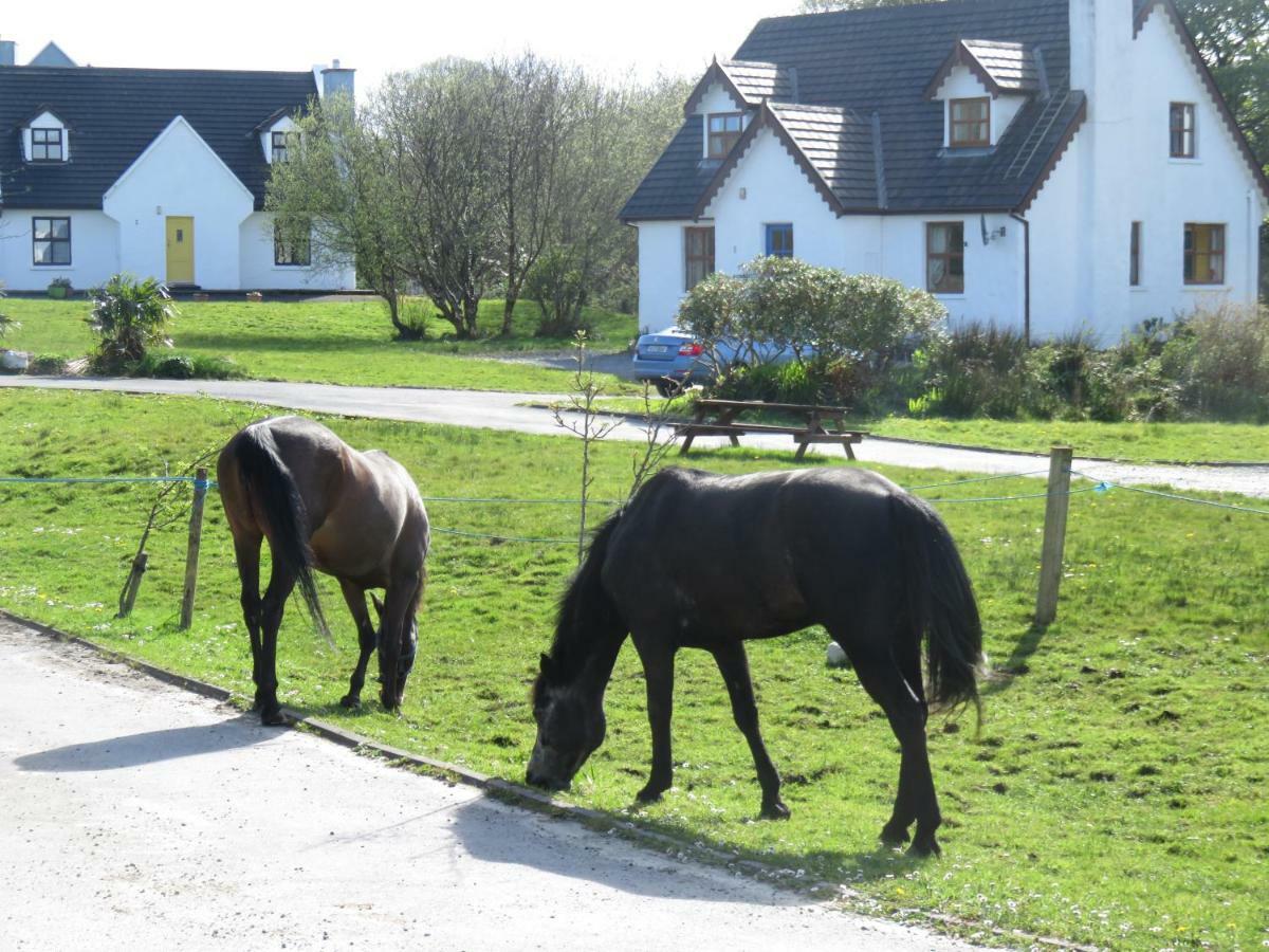Letterfrack Farm Cottage In Village On A Farm Beside Connemara National Park Eksteriør billede