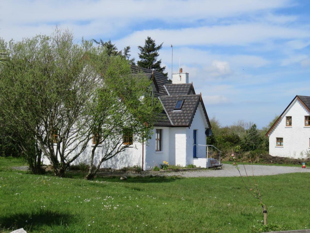 Letterfrack Farm Cottage In Village On A Farm Beside Connemara National Park Eksteriør billede